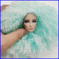 Fashion OOAK Elise Elyse Head Doll FR Royalty Barbie Integrity Toys Silkstone